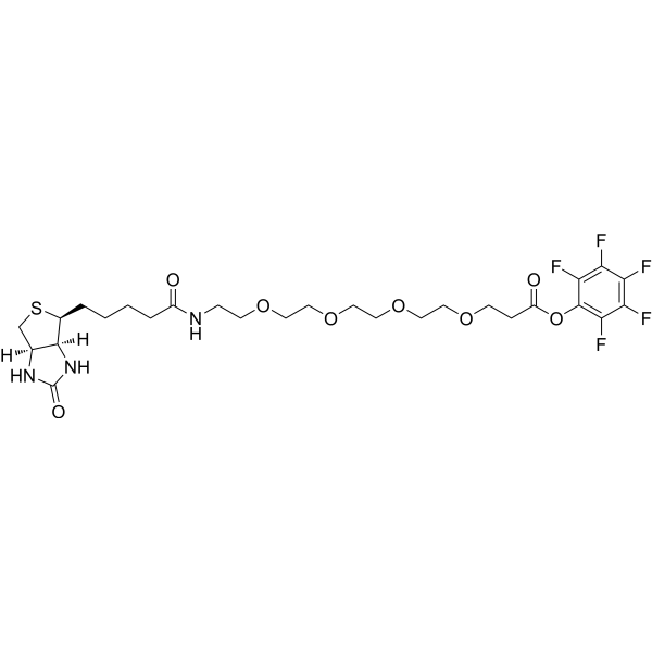 Biotin-PEG4-PFP ester 1334172-58-5